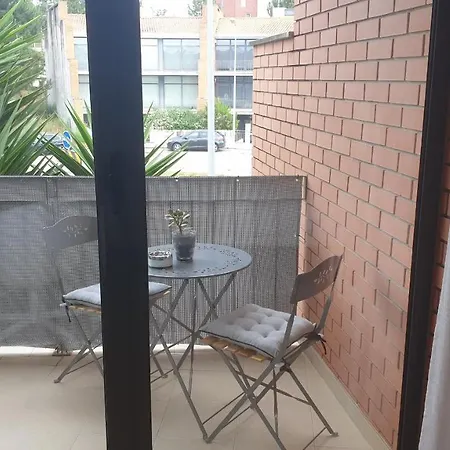 Πανσιόν Blue Bird House - Bbh Figueira da Foz