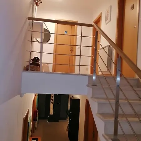 Blue Bird House - Bbh