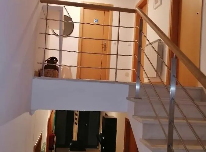 Blue Bird House - Bbh